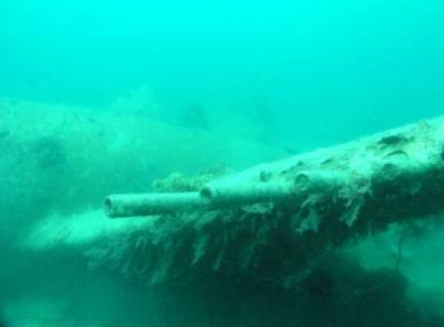 The port guns and cockpit