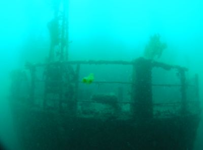 The stern