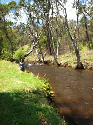 Paddys River