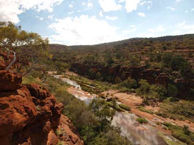 Palm Valley