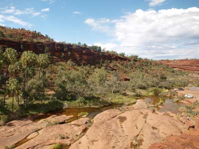 Palm Valley