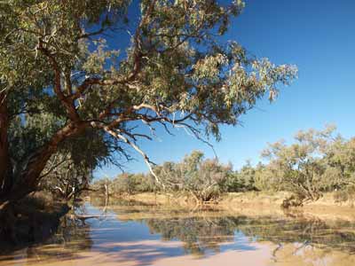 Paroo River