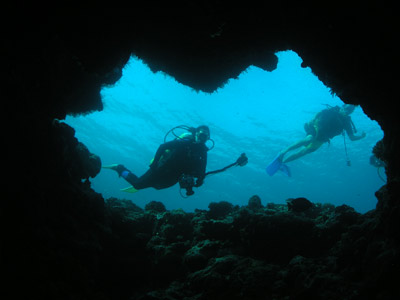 Gorgonia at Pauls Rock
