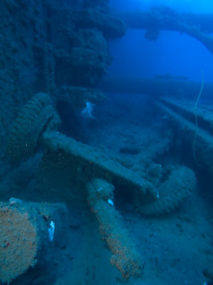 Artillery Gun