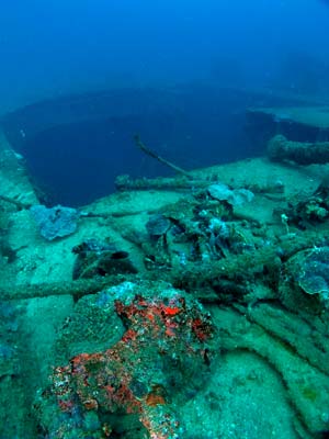 The Engine Room cut