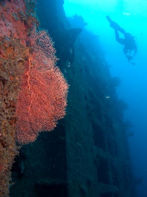 The Bridge from Hold Two