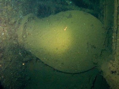 The propeller blade