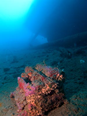Artillery Gun