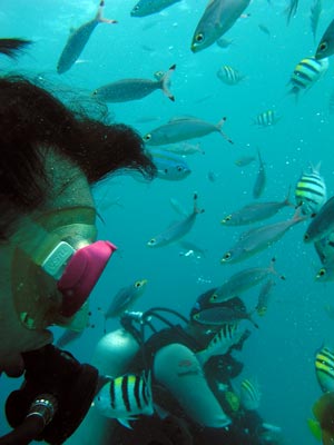 Fish!