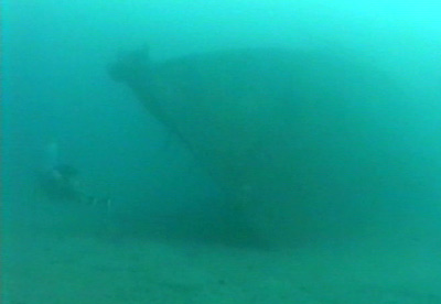 Petaj bow