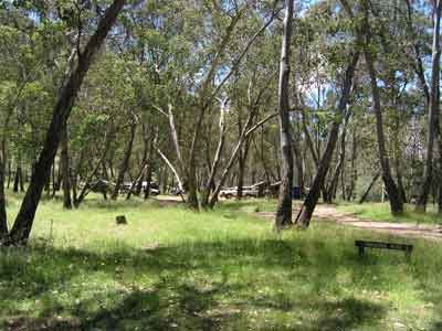 Pineapple Flat Camping Area