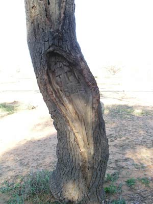 Pooles Grave