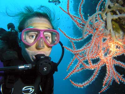 Sea fan at Pygmy Point