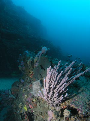 Pyramid Rock