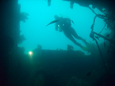 Rainbow Warrior
