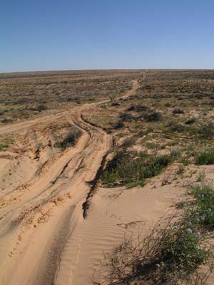 Rig Road