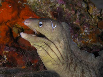 Riko Riko Cave