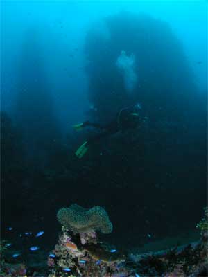 The Shinkoku Maru Funnel