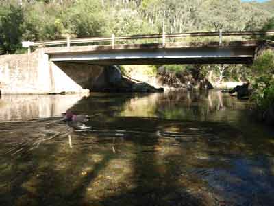 Stacey Bridge