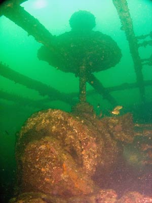 Star of Russia winch