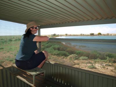South Myer Tank Hide