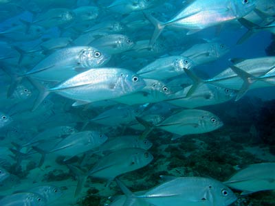 Gold Coast Seaway