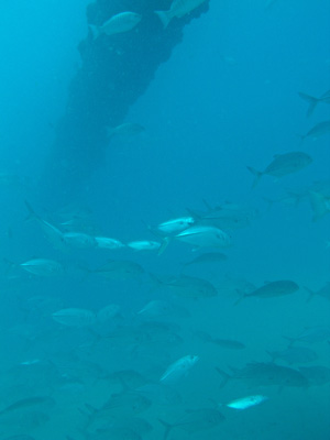 Gold Coast Seaway