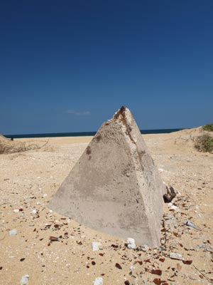 Stockton Beach
