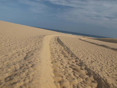 Stockton Beach