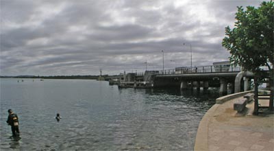 Swansea Bridge