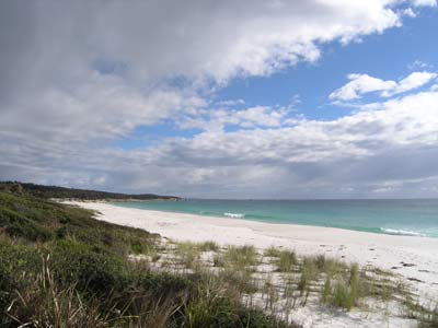 Swimcart Beach Camp