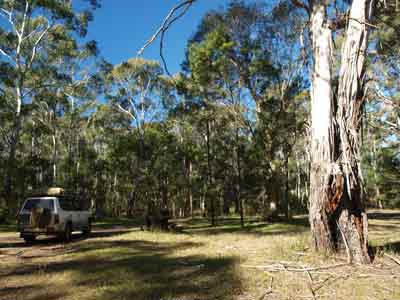 Camping area