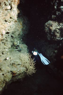 Tambea Caves