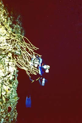 Taravana Cave