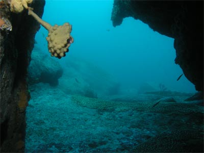 A cave at The Gap