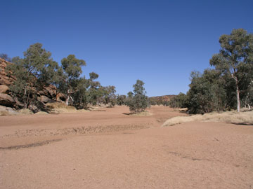 Todd River