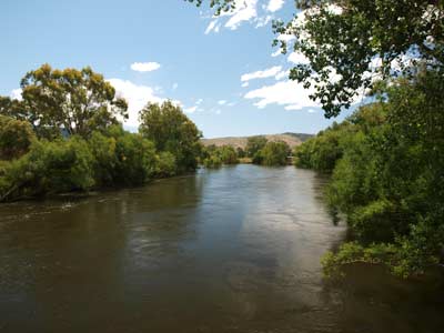 Towong Reserve