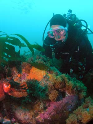 Kelly and a cuttlefish