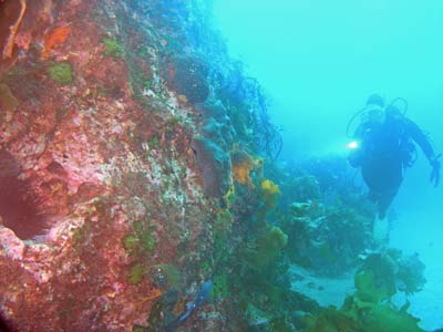 Trevors Rock