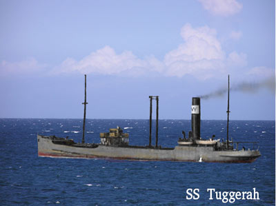 SS Tuggerah Painting