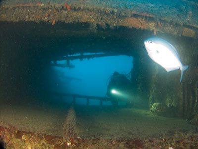 HMNZS Tui