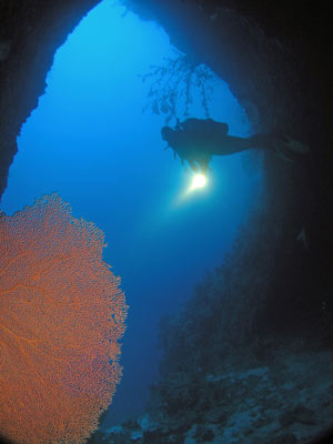 Twin Tunnels