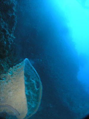 Twin Tunnels