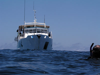Undersea Explorer