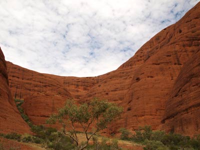 The Olgas