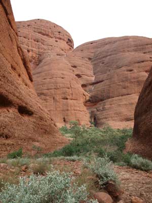 The Olgas