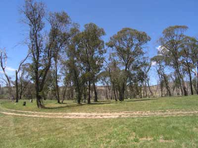 Victoria Falls Camping Area
