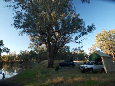 Walgett Common