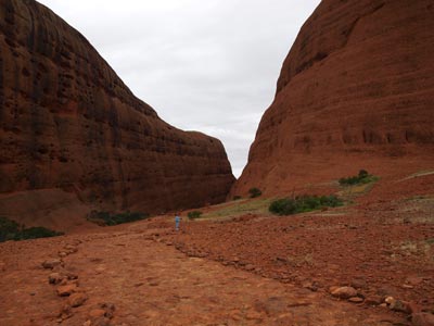 The Olgas