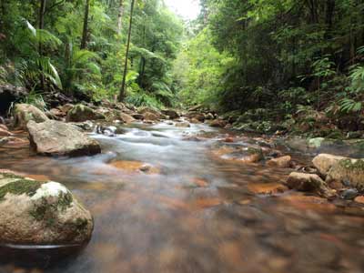 Creek